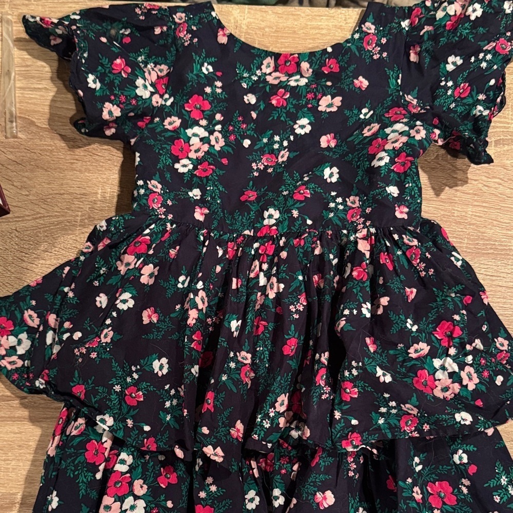 NWOT Janie and Jack Dress